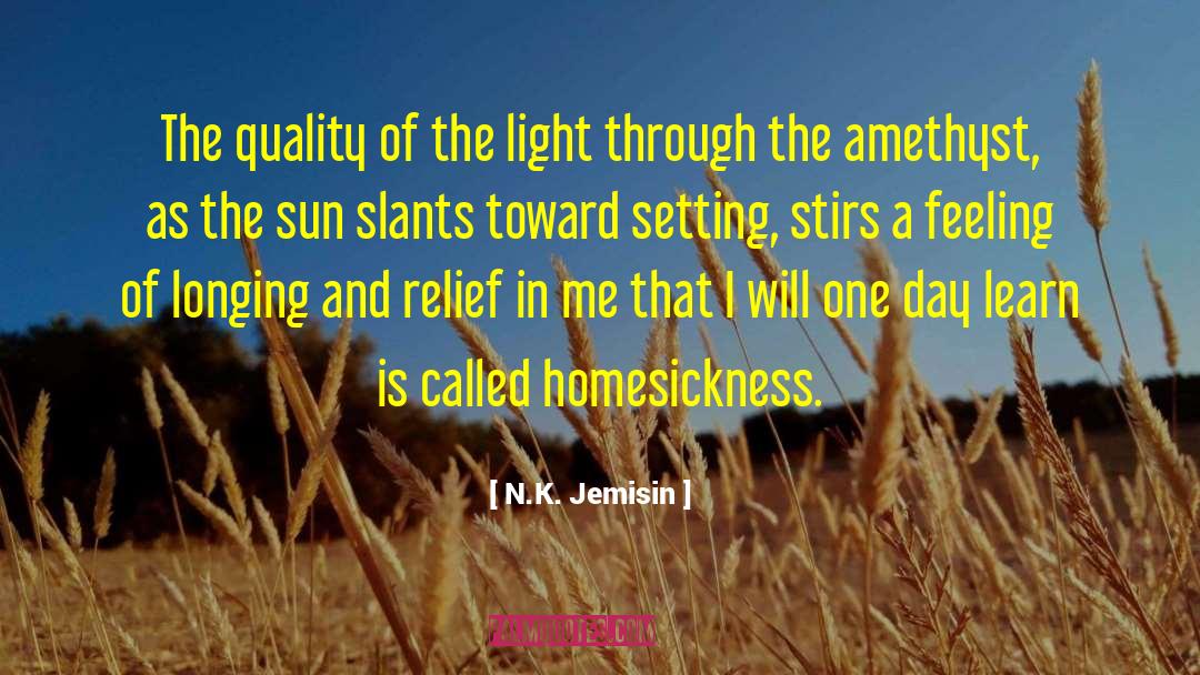 Setting The Standards quotes by N.K. Jemisin