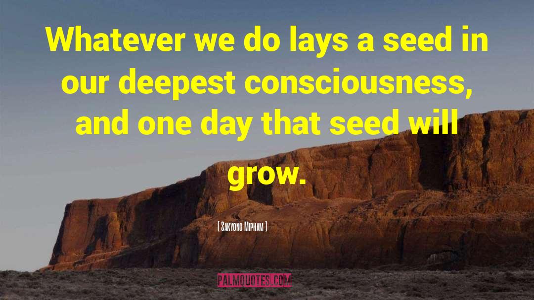 Settlemyre Seed quotes by Sakyong Mipham