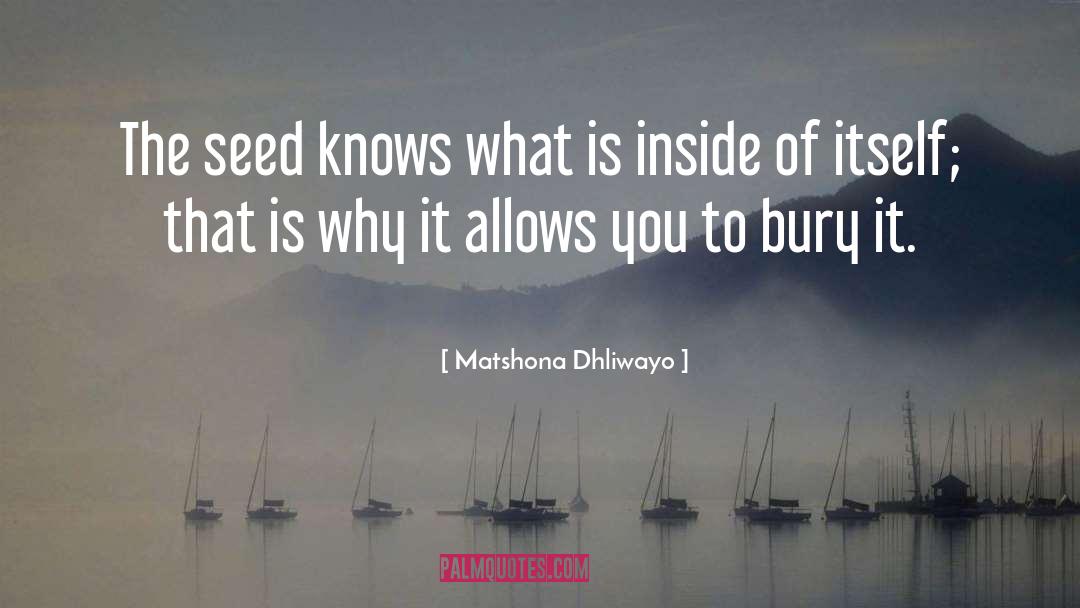 Settlemyre Seed quotes by Matshona Dhliwayo