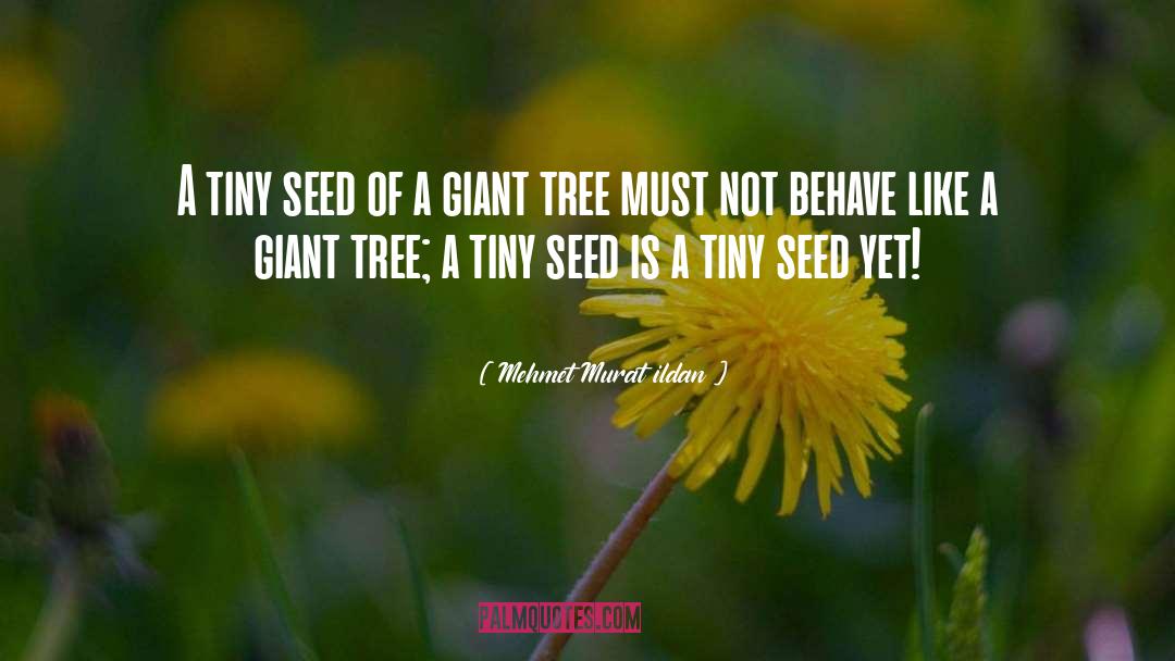Settlemyre Seed quotes by Mehmet Murat Ildan