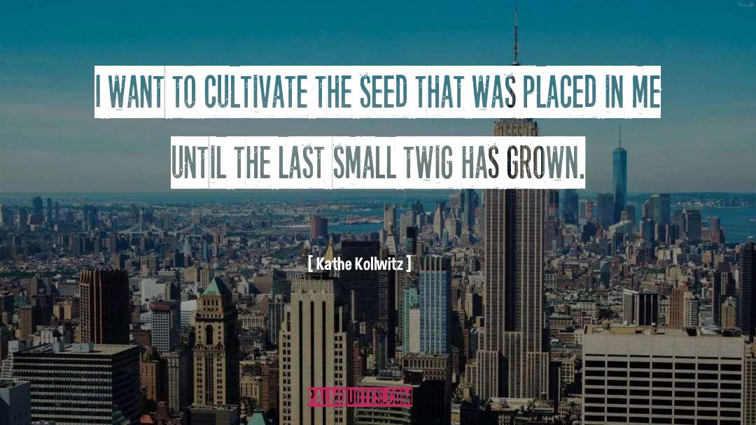 Settlemyre Seed quotes by Kathe Kollwitz