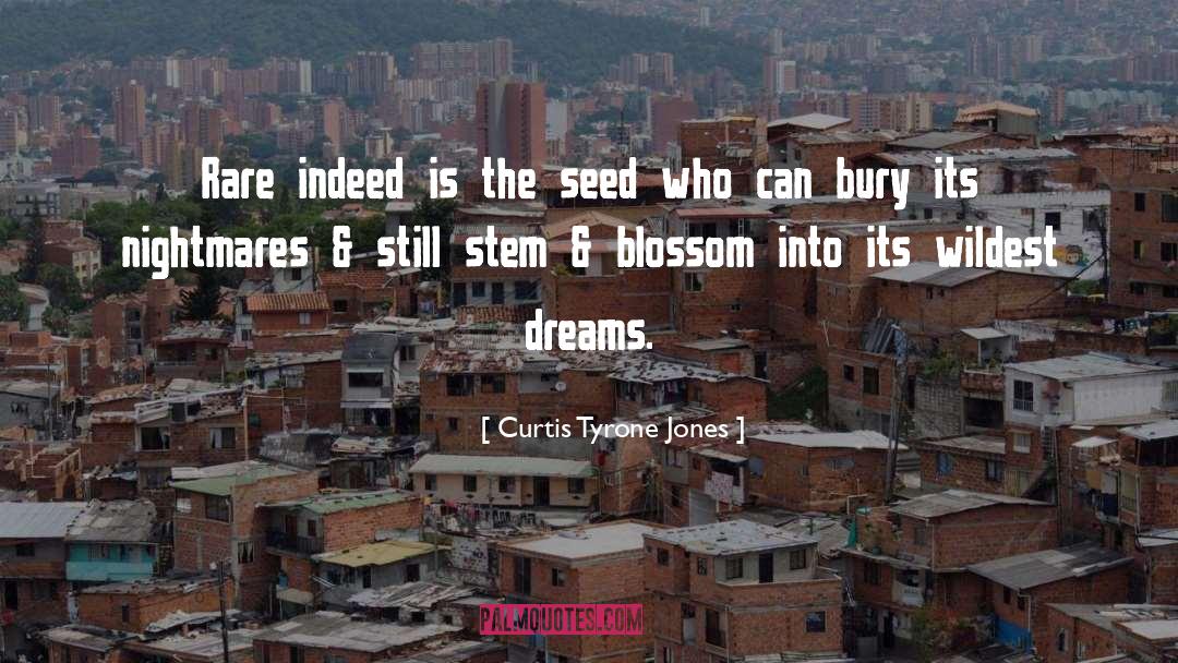 Settlemyre Seed quotes by Curtis Tyrone Jones