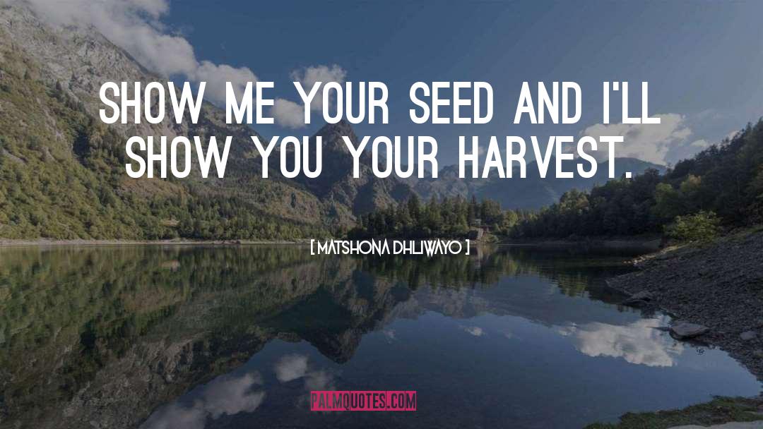 Settlemyre Seed quotes by Matshona Dhliwayo