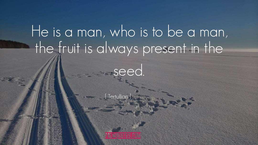 Settlemyre Seed quotes by Tertullian