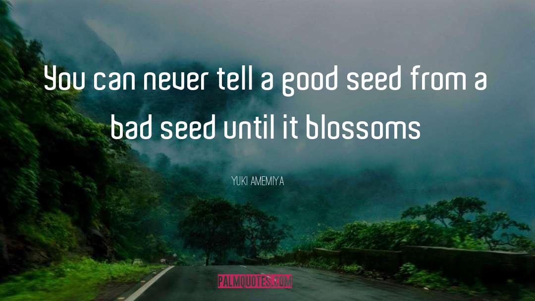 Settlemyre Seed quotes by Yuki Amemiya