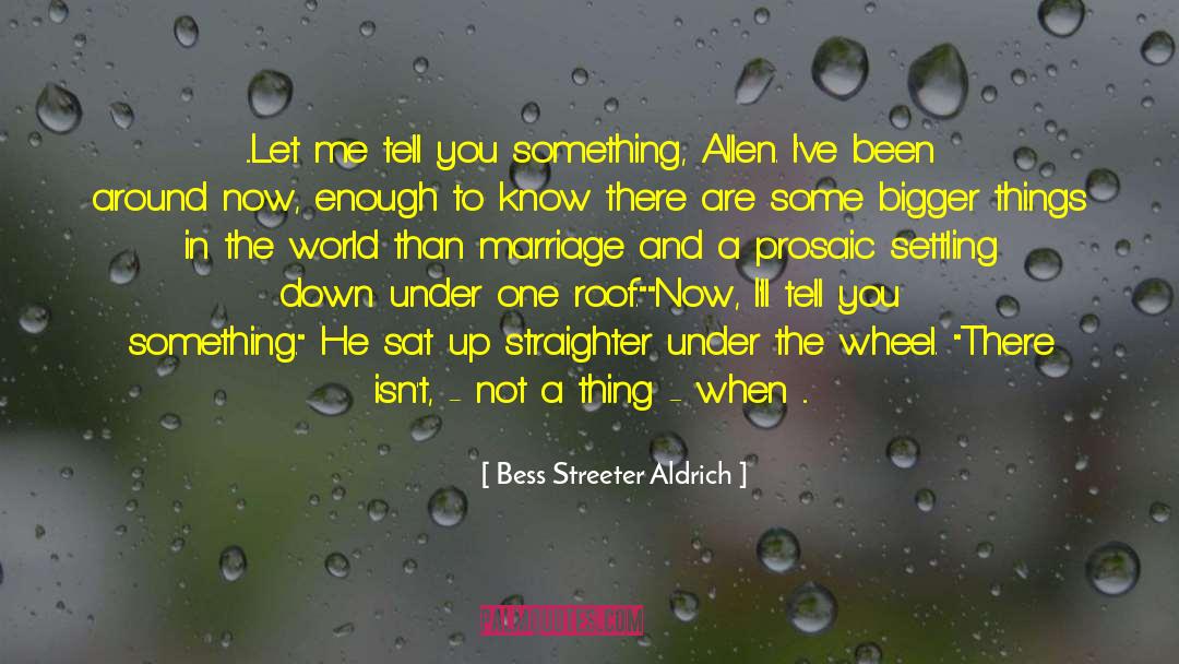 Settling Down quotes by Bess Streeter Aldrich
