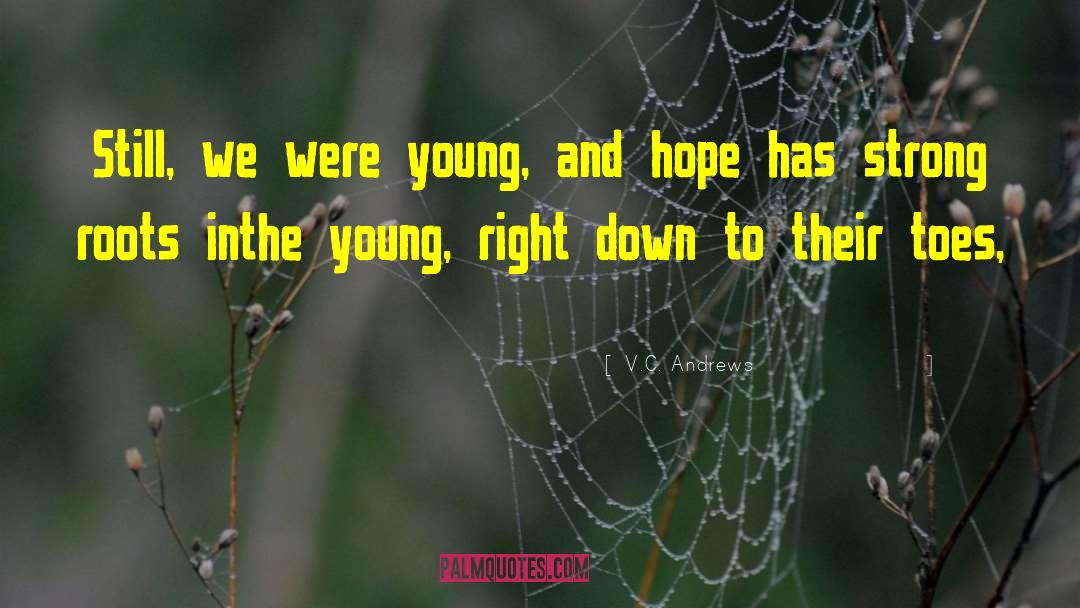 Settling Down Young quotes by V.C. Andrews