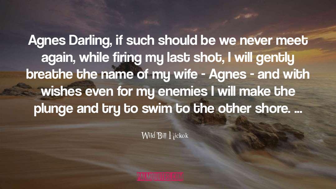 Seventeen Wishes quotes by Wild Bill Hickok