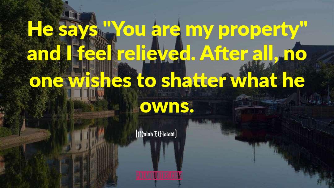 Seventeen Wishes quotes by Malak El Halabi