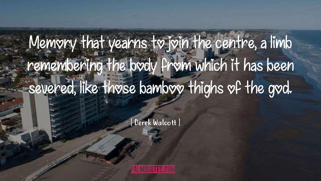 Severed quotes by Derek Walcott