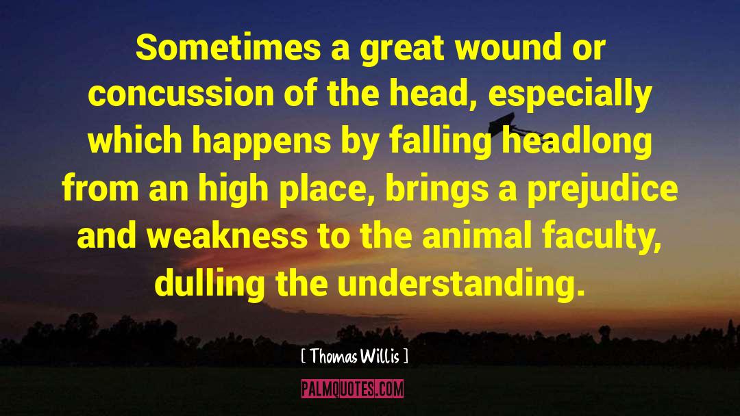 Severities Of Concussions quotes by Thomas Willis