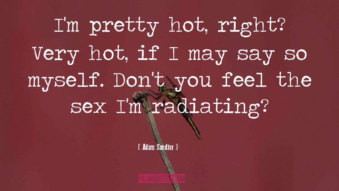 Sex Toy quotes by Adam Sandler