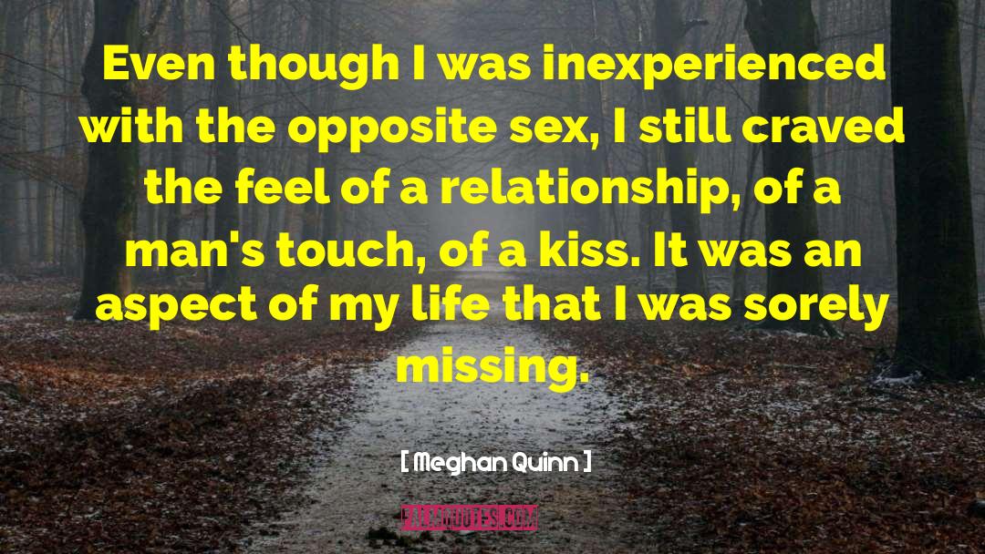 Sex Toys quotes by Meghan Quinn
