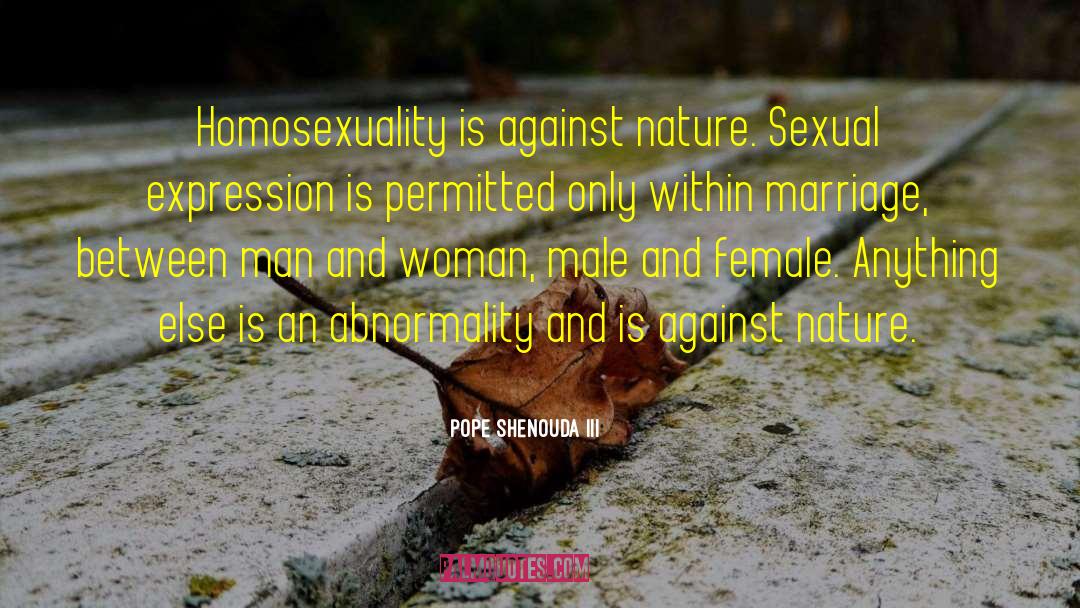 Sexual Activity quotes by Pope Shenouda III