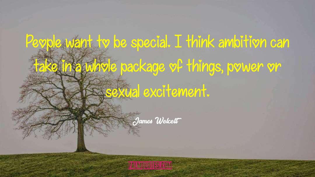 Sexual Ecstasy quotes by James Wolcott