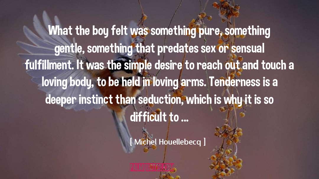 Sexual Fulfillment quotes by Michel Houellebecq