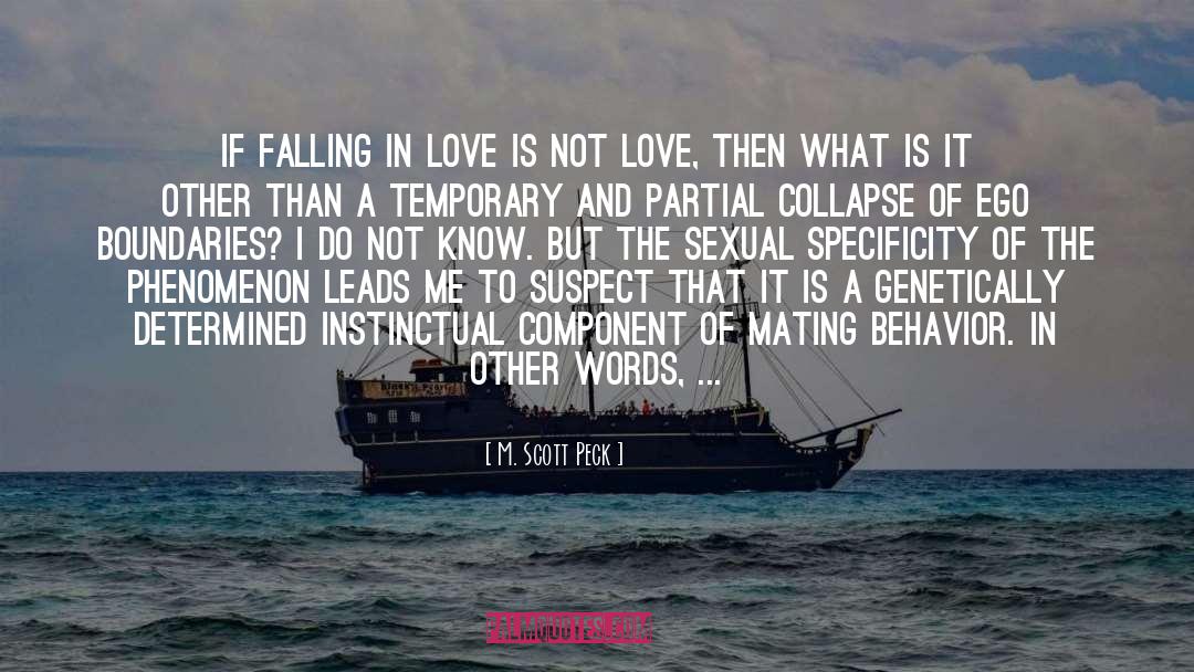 Sexual Immorality quotes by M. Scott Peck