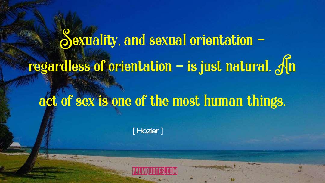 Sexual Orientation quotes by Hozier