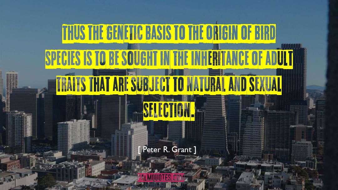 Sexual Selection quotes by Peter R. Grant
