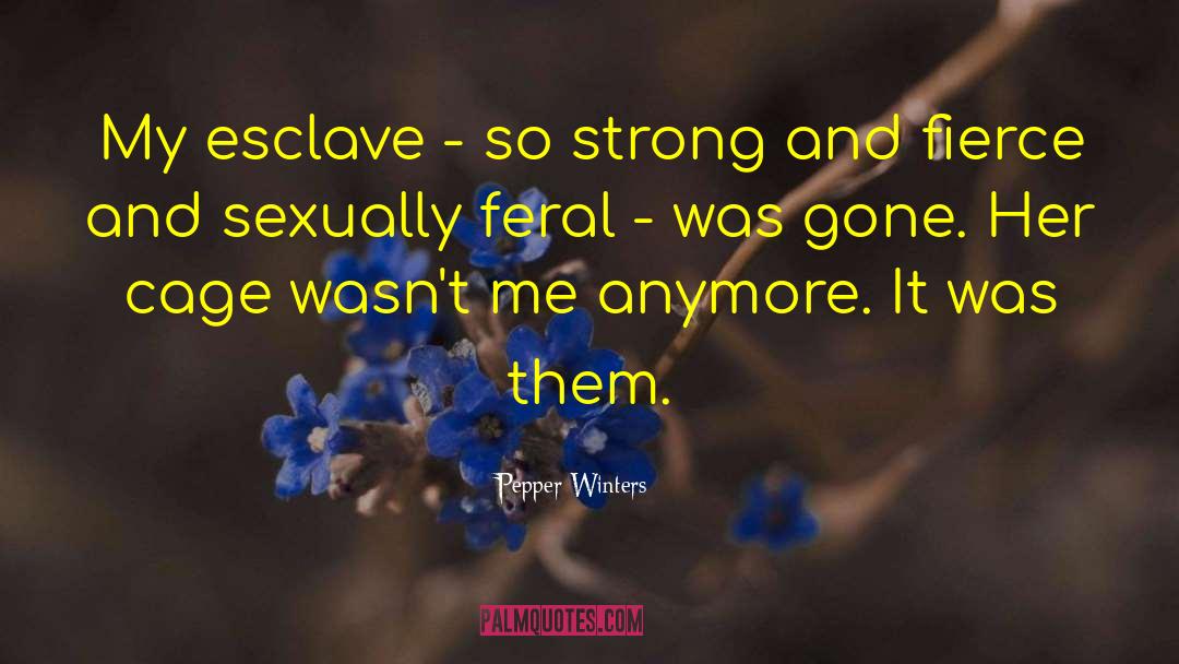 Sexually Active quotes by Pepper Winters