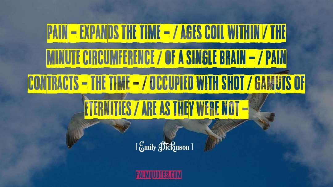 Sexy Brain quotes by Emily Dickinson