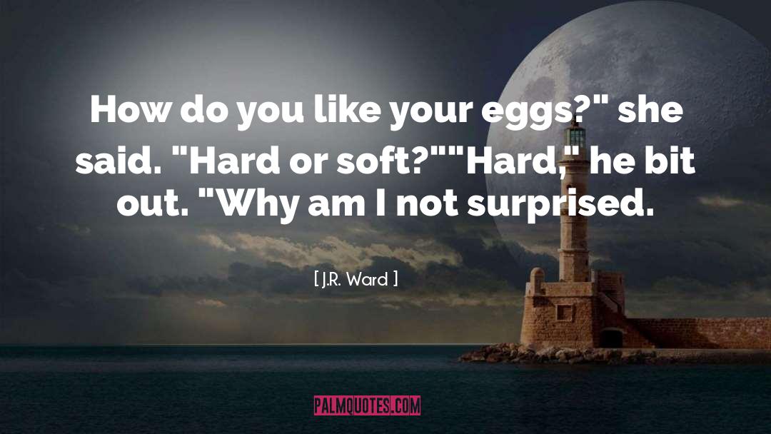 Sexy Humor quotes by J.R. Ward