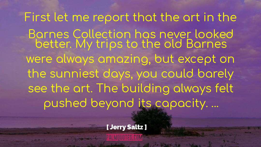 Seybold Report quotes by Jerry Saltz