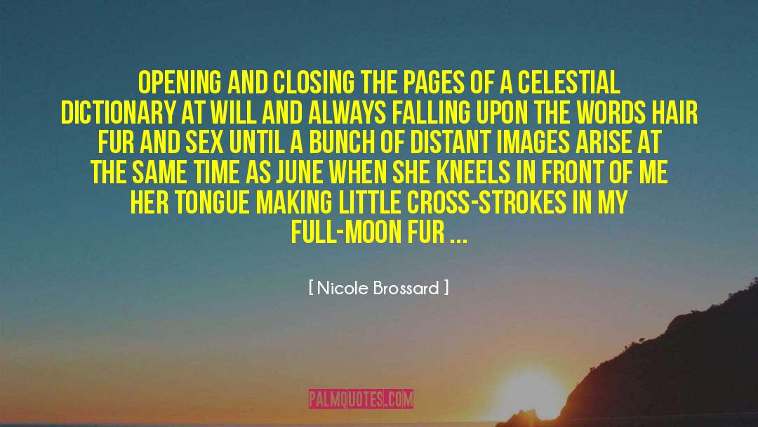 Seyler Moon quotes by Nicole Brossard