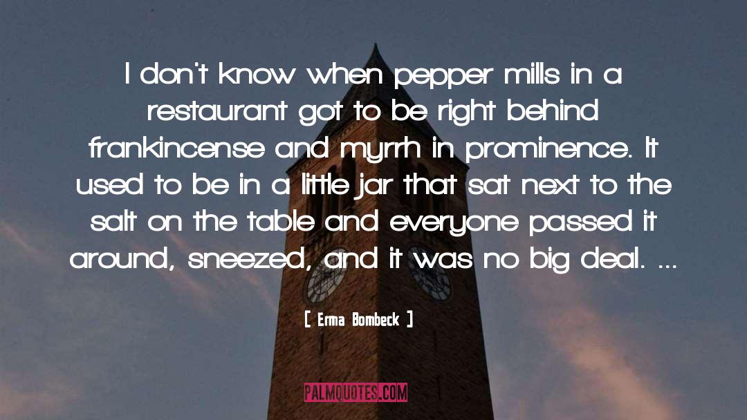 Sgt Pepper quotes by Erma Bombeck