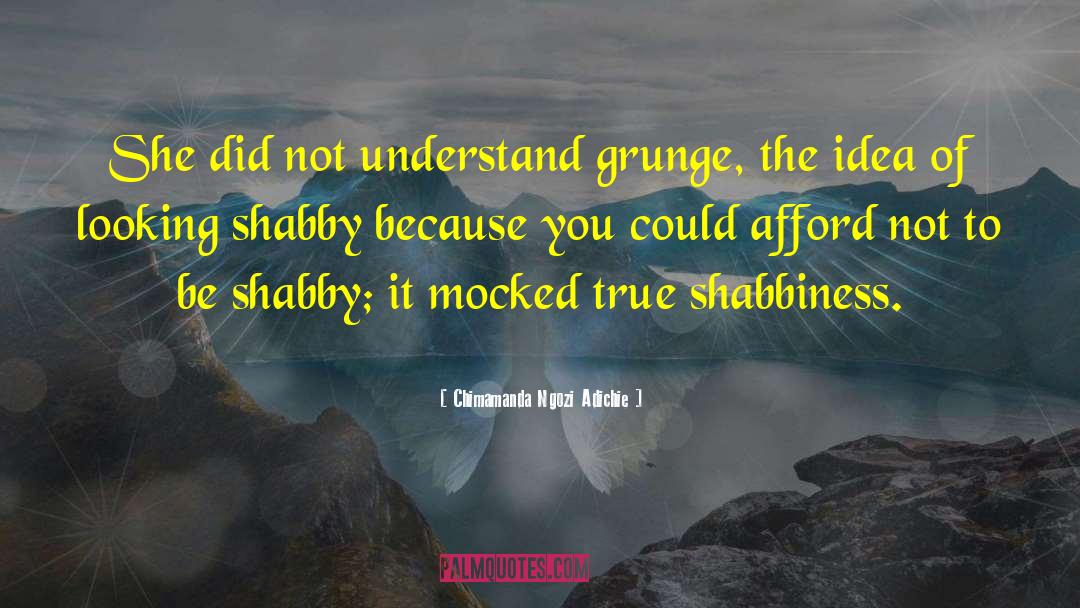 Shabbiness quotes by Chimamanda Ngozi Adichie