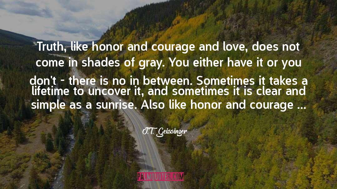 Shades Of Gray quotes by J.T. Geissinger