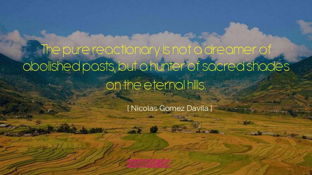 Shades quotes by Nicolas Gomez Davila