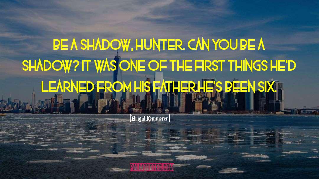 Shadow Castle quotes by Brigid Kemmerer