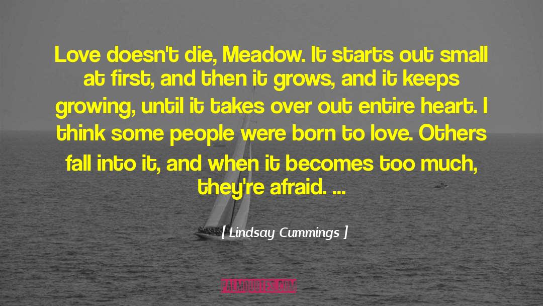 Shadow Fall quotes by Lindsay Cummings