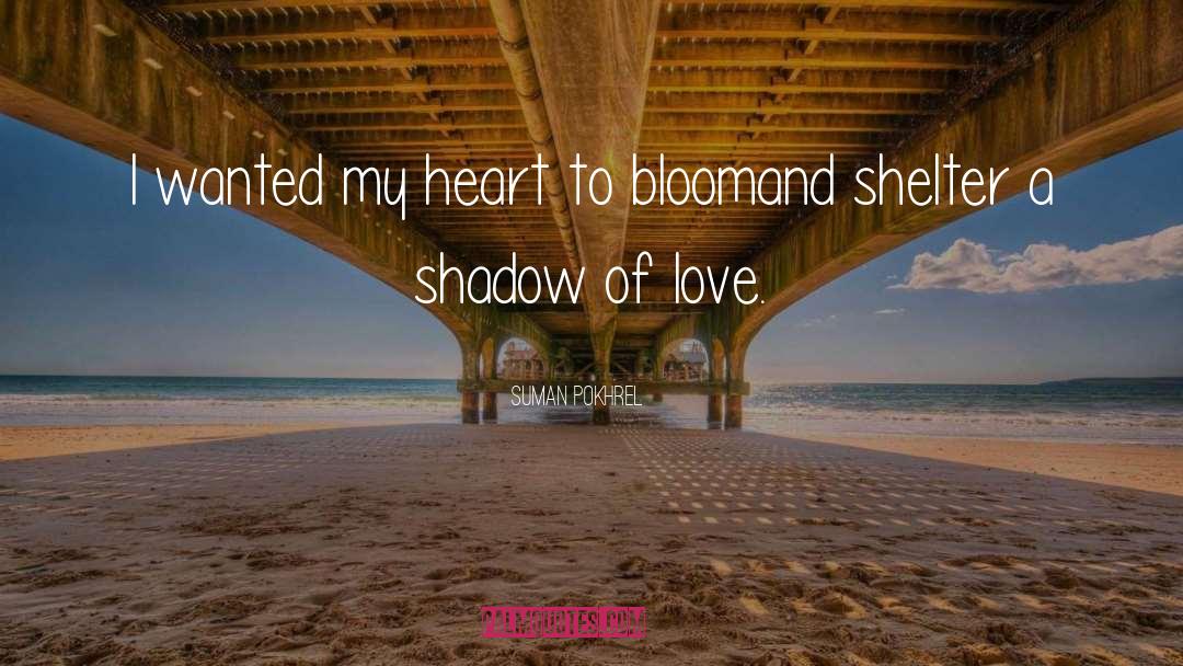 Shadow Of Love quotes by Suman Pokhrel