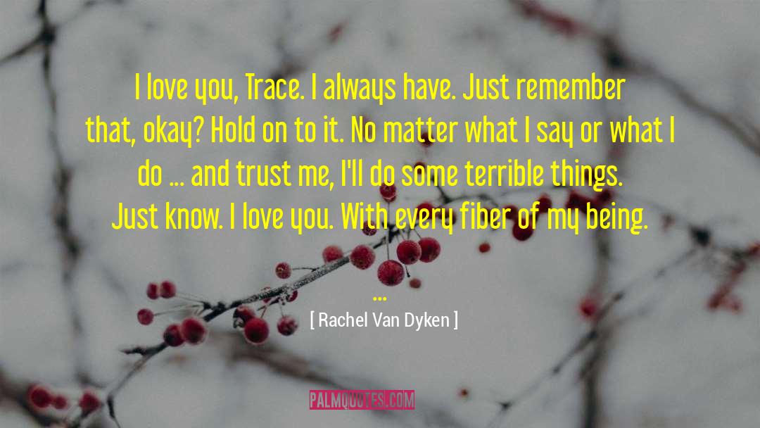 Shadow Of Love quotes by Rachel Van Dyken