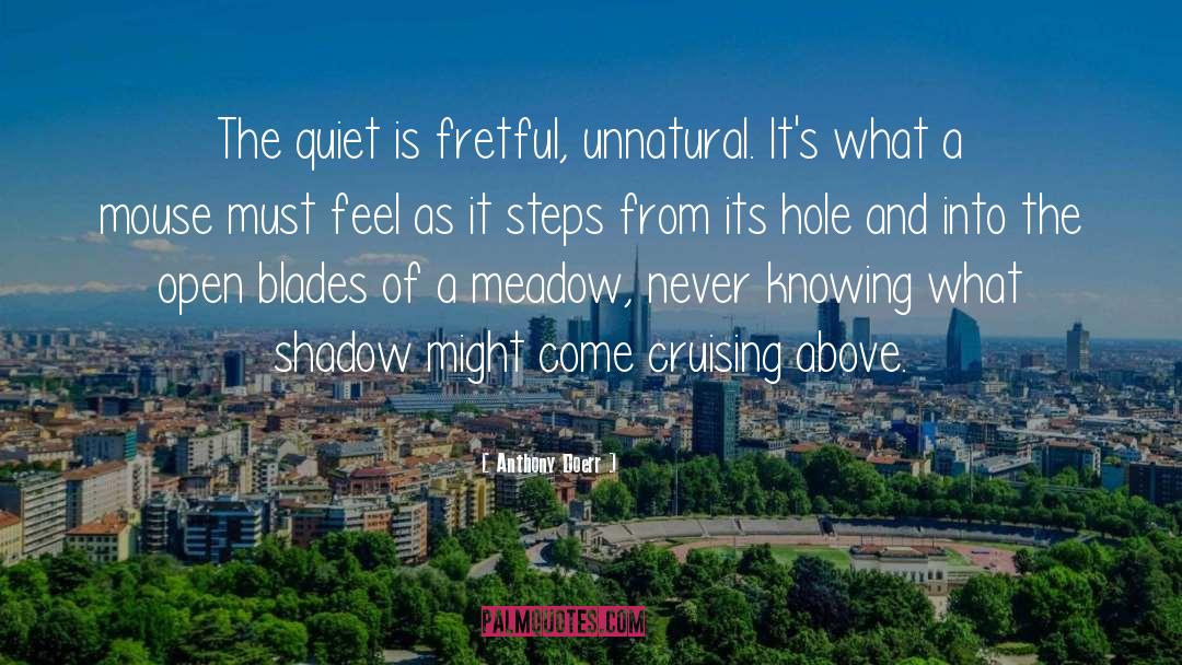 Shadow Of Night quotes by Anthony Doerr