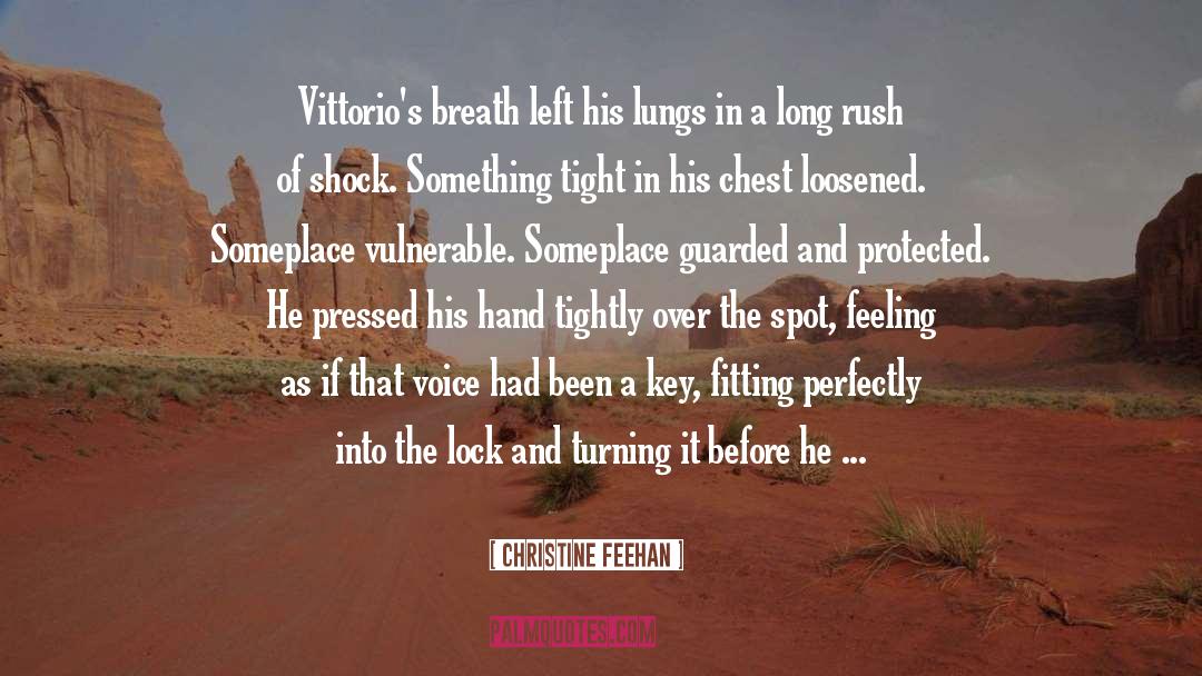 Shadow Rider Series quotes by Christine Feehan