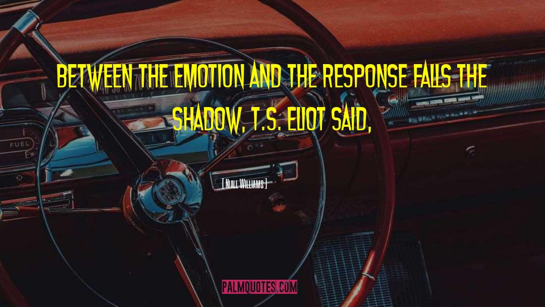 Shadow S Embrace quotes by Niall Williams