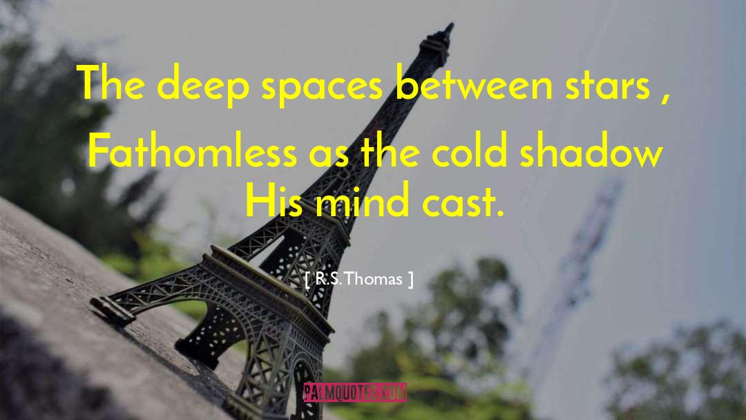 Shadow S Son quotes by R.S. Thomas