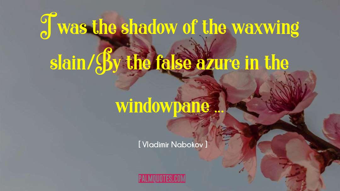 Shadow Self quotes by Vladimir Nabokov
