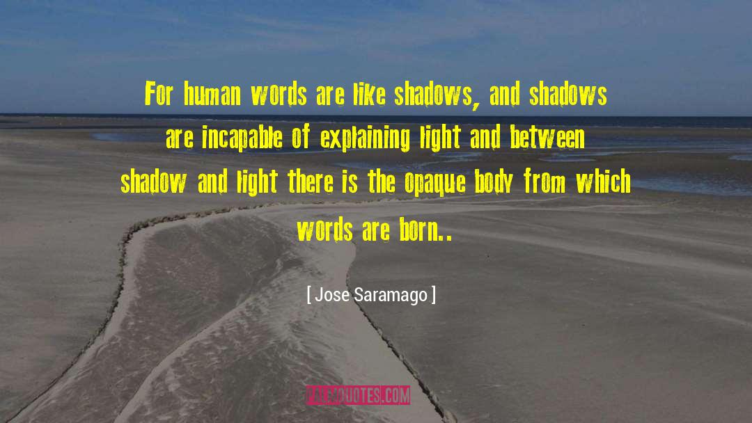 Shadow Series quotes by Jose Saramago