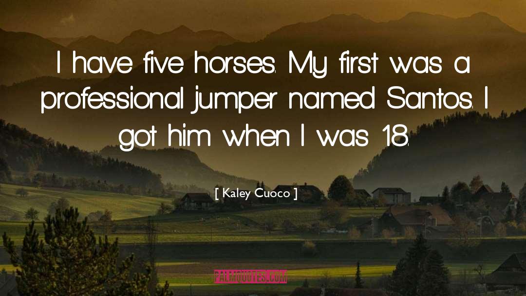 Shadowfax Lord Of All Horses quotes by Kaley Cuoco