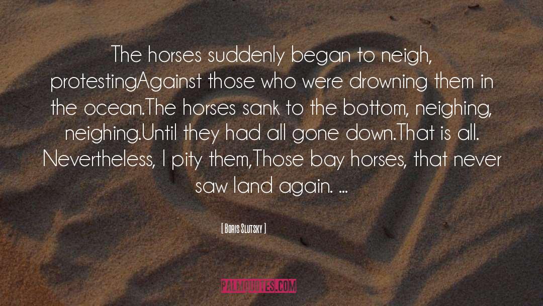 Shadowfax Lord Of All Horses quotes by Boris Slutsky