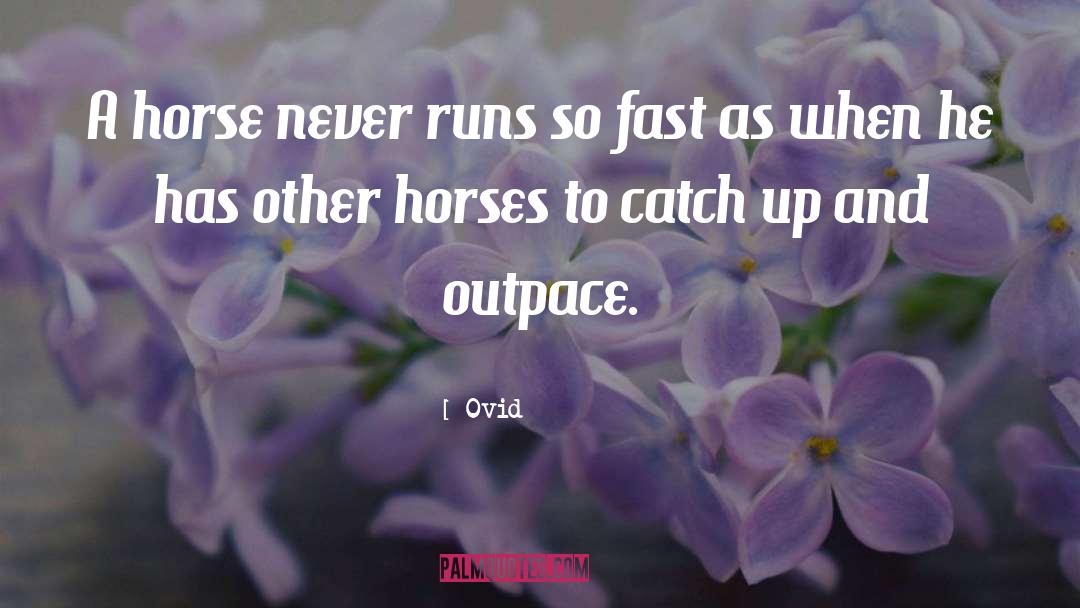 Shadowfax Lord Of All Horses quotes by Ovid