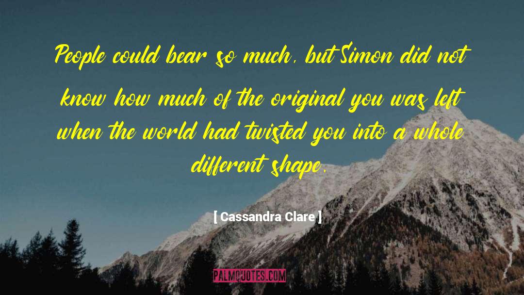 Shadowhunter Chornicles quotes by Cassandra Clare