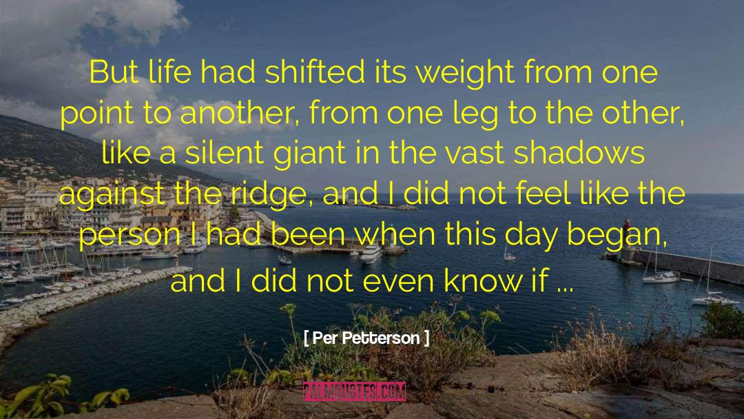 Shadows In The Stone quotes by Per Petterson
