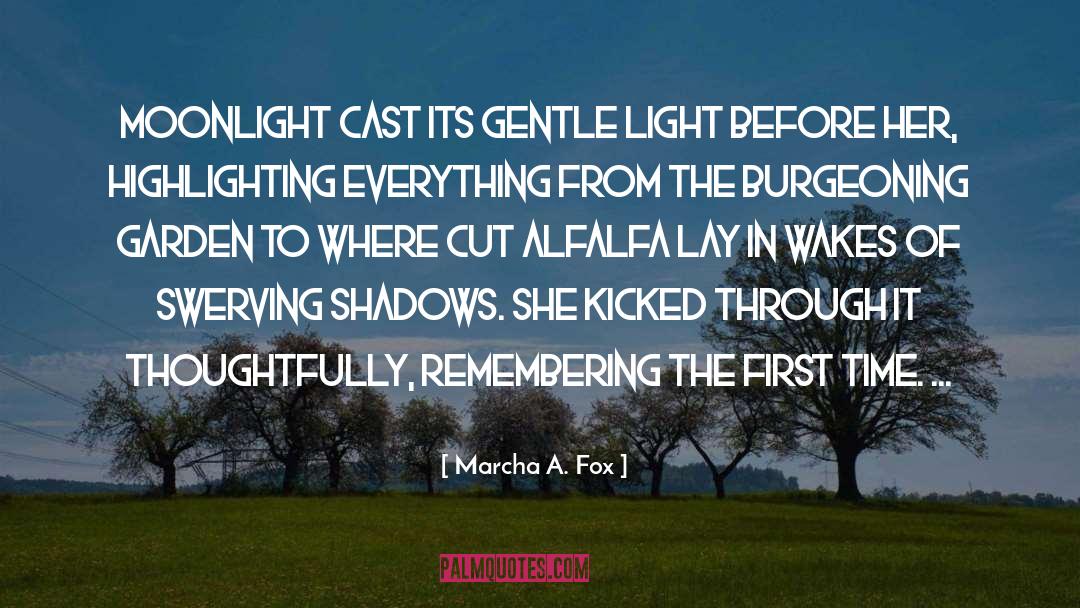 Shadows In The Stone quotes by Marcha A. Fox
