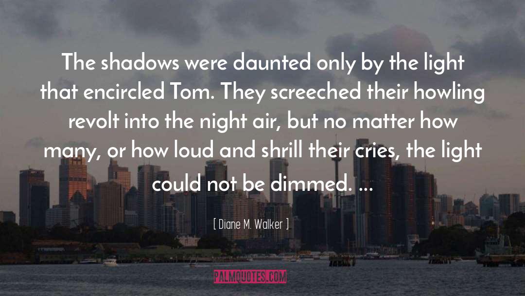 Shadows quotes by Diane M. Walker