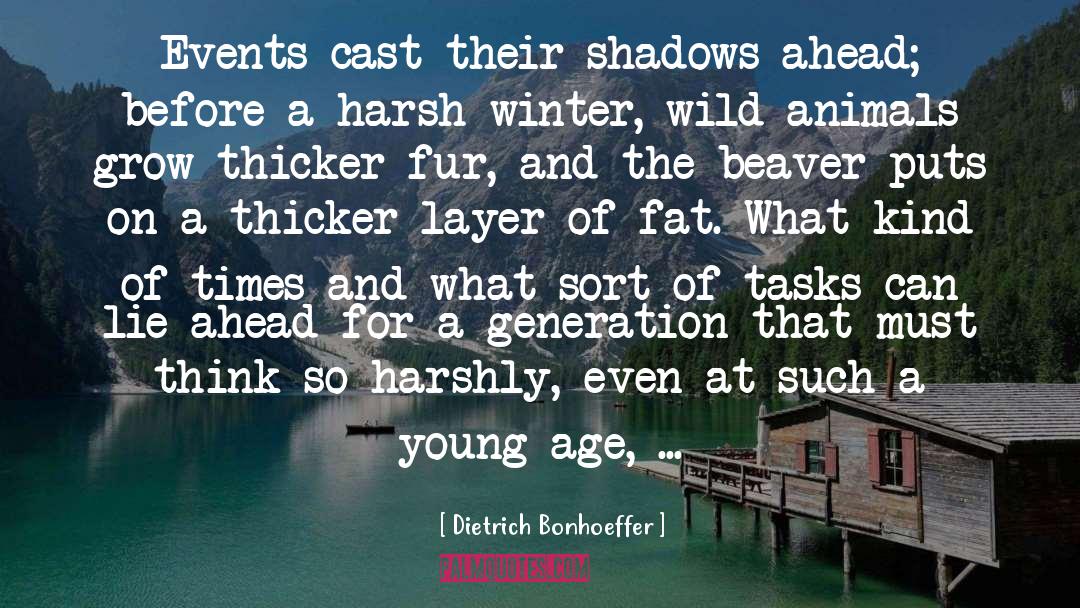 Shadows quotes by Dietrich Bonhoeffer